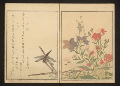 Red Dragonfly and Locust by Pinks by Kitagawa Utamaro