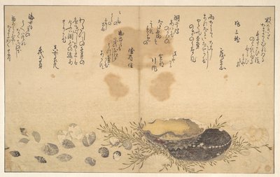 Shells Under Water by Kitagawa Utamaro