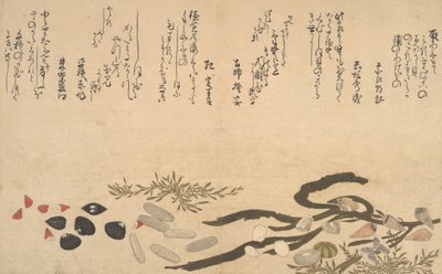 Shells under Water, 1790 by Kitagawa Utamaro