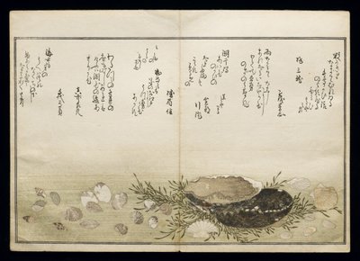 Shiohi no tsuto (Gifts from the Ebb Tide), known as the Shell Book, 1789 by Kitagawa Utamaro