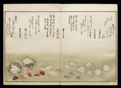 Shiohi no tsuto (Gifts from the Ebb Tide), known as the Shell Book, 1789 by Kitagawa Utamaro
