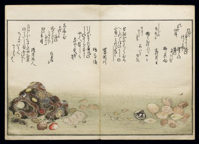 Shiohi no tsuto (Gifts from the Ebb Tide), known as the Shell Book, 1789 by Kitagawa Utamaro