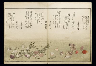 Shiohi no tsuto (Gifts from the Ebb Tide), known as the Shell Book, 1789 by Kitagawa Utamaro