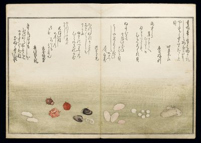 Gifts from the Ebb Tide, known as the Shell Book, 1789 by Kitagawa Utamaro