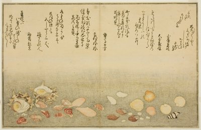 Shiro-gai, Namima-gashiwa, Makura-gai, Iro-gai, Aza-gai, Sadae-gai, from the Illustrated Book 