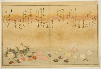 Shiro-gai, namima-gashiwa, makura-gai, iro-gai, aza-gai, sadae-gai, from the illustrated book "Gifts from the Ebb Tide (Shiohi no tsuto)" by Kitagawa Utamaro