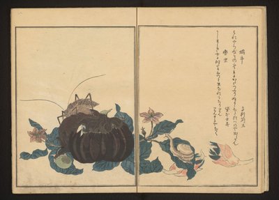 Snail and Noisy Cricket on Eggplant by Kitagawa Utamaro
