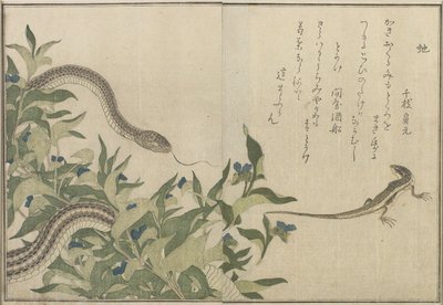 Snake and Lizard by Kitagawa Utamaro