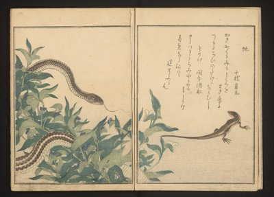 Snake and Lizard by a Bush by Kitagawa Utamaro