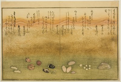 Sudare-gai, Hana-gai, Sakura-gai, Mumeno-gai, Nadeshiko-gai, and Kinuta-gai, from the Illustrated Book "Gifts from the Ebb Tide" by Kitagawa Utamaro