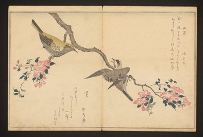Tit and bush warbler by Kitagawa Utamaro