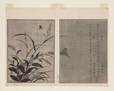 Tree Cricket and Firefly by Kitagawa Utamaro