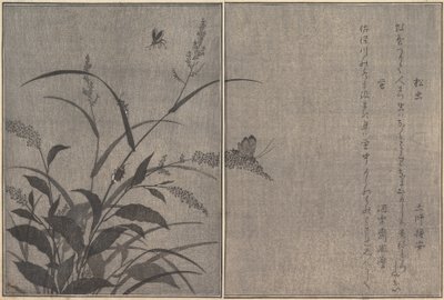 Tree Cricket Matsumushi, Firefly Hotaru by Kitagawa Utamaro