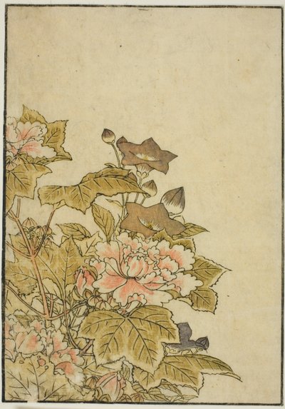 Autumn Flowers: Peonies and Bellflowers, from the book 
