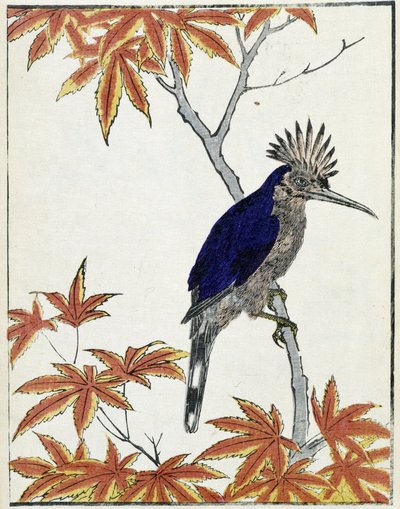 Bird on a Tree. Japanese Drawing by Kitao Kosuisai by Kitao Shigemasa