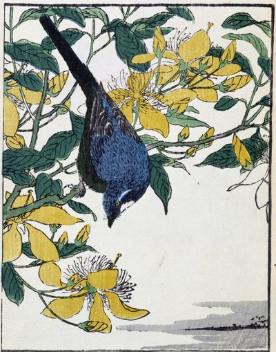 Bird on a Tree. Japanese Drawing by Kitao Kosuisai by Kitao Shigemasa