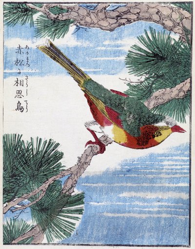Bird on a Tree. Japanese Drawing by Kitao Kosuisai by Kitao Shigemasa