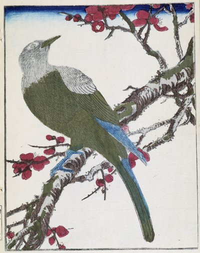 Bird on a Tree. Japanese Drawing by Kitao Kosuisai by Kitao Shigemasa