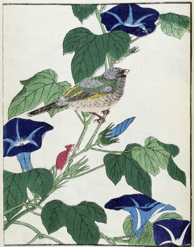 Bird on a tree. Japanese drawing by Kitao Kosuisai by Kitao Shigemasa