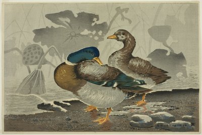 A Pair of Ducks by a Lotus Pond by Kobayashi Kiyochika