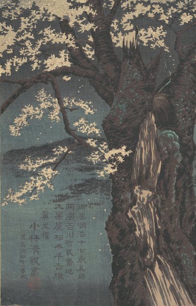 Cherry Tree, dated 1874 by Kobayashi Kiyochika