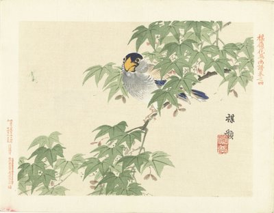 Gray-Blue Bird by Kono Bairei