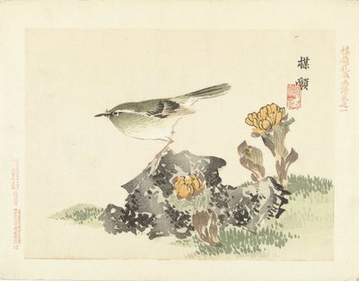 Green Bird by Kono Bairei