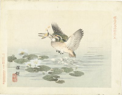Kingfisher by Kono Bairei