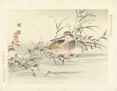 Snipe by Kono Bairei