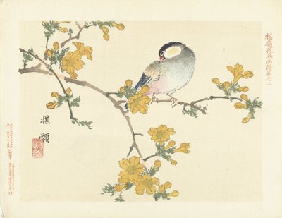 Songbird on a Blooming Branch (series title: Bairei