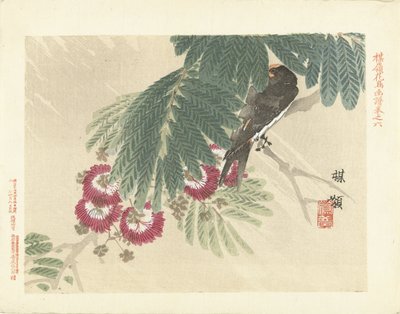 Swallow (series title: Bairei