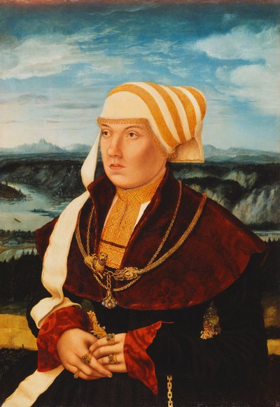 Portrait of Dorothea von Stralenburg, aged 26, three-quarter length, in a red and black dress with gold ornaments, before an extensive landscape by Konrad Faber von Kreuznach