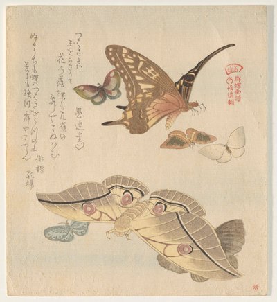 Butterflies and Moths, from the series A Flock of Butterflies by Kubo Shunman