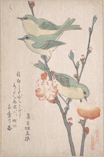 Japanese White-eyes on a Branch of Peach Tree, from the Series An Array of Birds, from Spring Rain Surimono Album (vol. 3) by Kubo Shunman