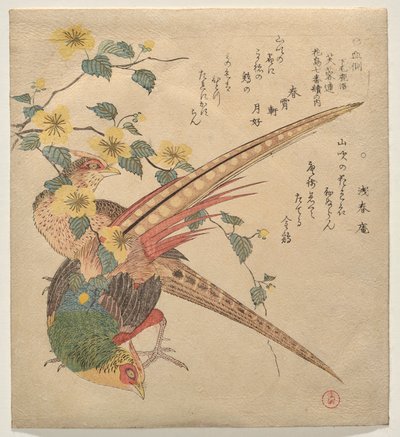 Pair of Chinese Pheasants and a Branch of Yamabuki Flowers by Kubo Shunman