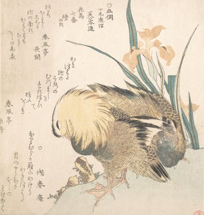 Pair of Mandarin Ducks and Iris Flowers by Kubo Shunman