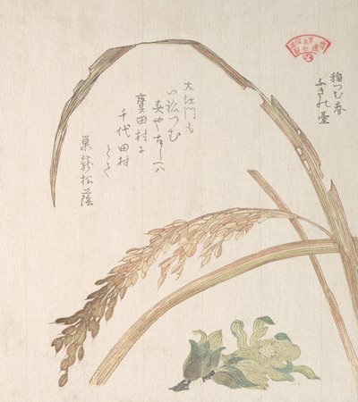 Rice Plant and Butter-Burs, 19th century by Kubo Shunman