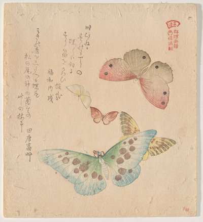 The Painting Manual of Flock of Butterflies (Guncho Gafu) by Kubo Shunman