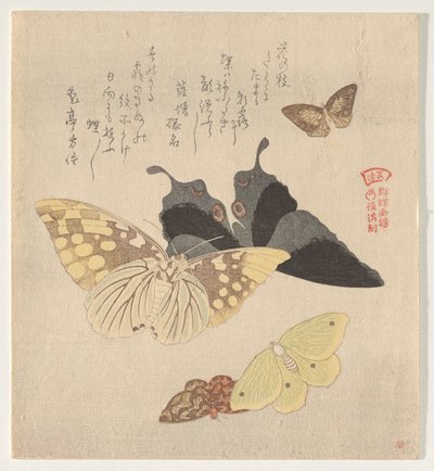 The Painting Manual of Flock of Butterflies by Kubo Shunman