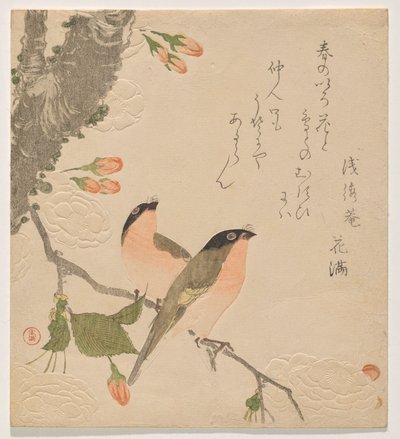 Two Bullfinches on a Double-Petalled Cherry Tree by Kubo Shunman