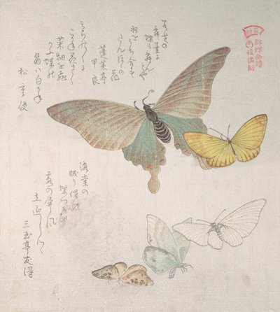 Various moths and butterflies by Kubo Shunman