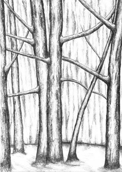 Bare Winter Trees by Kulik