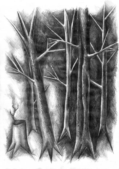 Dark Forest Renewal by Kulik