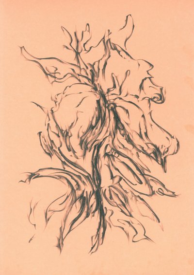 Dynamic Charcoal Growth by Kulik