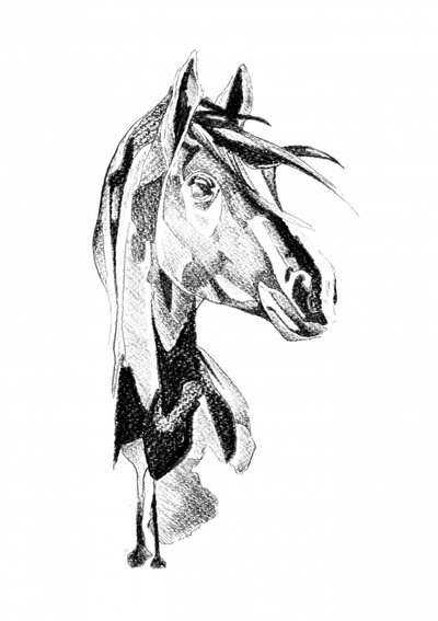 Dynamic Horse Sketch by Kulik