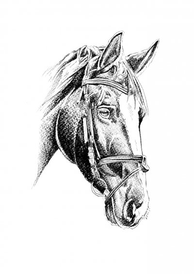 Elegant Horse Portrait by Kulik