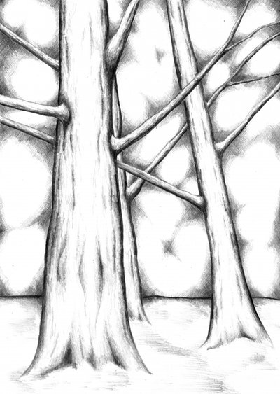 Ethereal Forest Light by Kulik