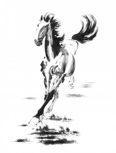 Galloping Wild Horse by Kulik