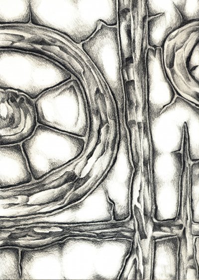 Organic Interlocking Forms by Kulik