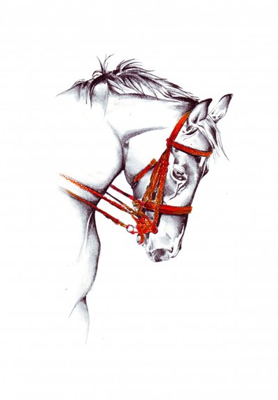 Red Bridle Horse Sketch by Kulik